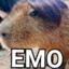 CAPYBARA_EMO