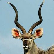 Kudu avatar