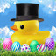 Dapper Ducky