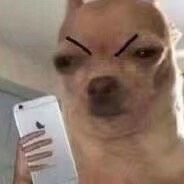 海定银枪小霸王