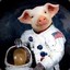 Space Pig