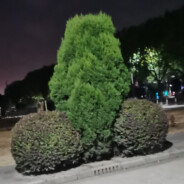 马嘉祺超绝干拉