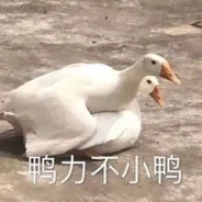 为爱冲锋的勇士