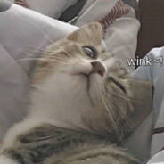 𝓢𝓪𝓷𝓢𝓾𝓲.