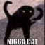 niggacat