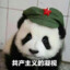 巫医