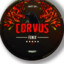 CORVUS