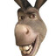 Donkey from Shrek