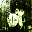 Cyber Genocide Denier's avatar