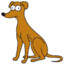 DOG_MAGRO