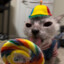 crayon muncher