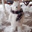 SnowBear