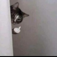 Evil