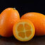 Kumquat