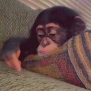 WW MaKaKa₽EEK - steam id 76561199048929476