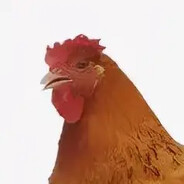 安徽特色纯情妙妙鸡