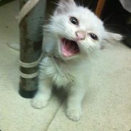 不思进取就输了