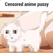 Censored Fuzzy