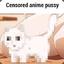 Censored Fuzzy