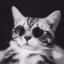 Catenochek