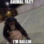 MlgSteenad