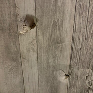 Wallkicker