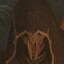 AgentMortalitas