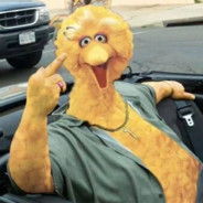 Big Bird