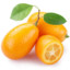 Kumquats1