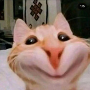 catuuuuuuu