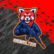 AironasLT2011