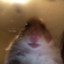 plz don`t hacking my ID