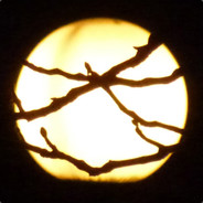 shaor - steam id 76561197970975748