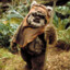Wicket