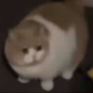 寻血猎犬大王ORANGE