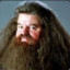 HAgriD