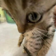 <3