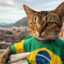 O gato brasileiro (O Jota)