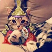 蜂巢老猫 avatar