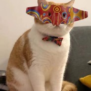 她与龙狙皆高磨