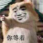 兄弟不要踩我的Mini