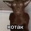 Котак