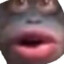 Dickadoodle420