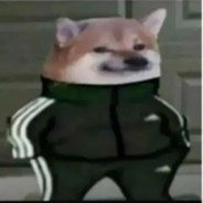 你妞子漏了别蹲了