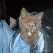 PantheR's avatar