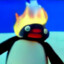 AngryPingu