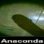 Anaconda