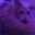 LoGGy