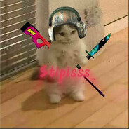 CS2-CASES.COM Stipisss_