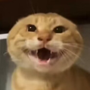 最強と絶兇圆头の耄耋!